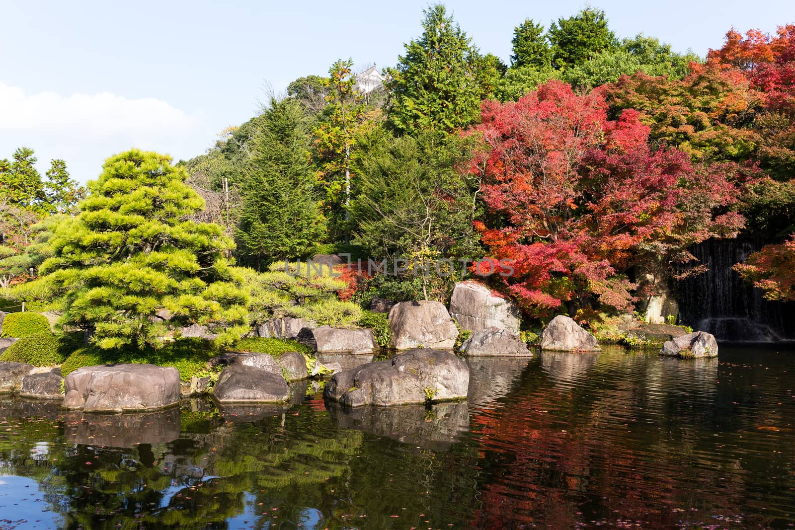 Traditional Japanese Kokoen Garden