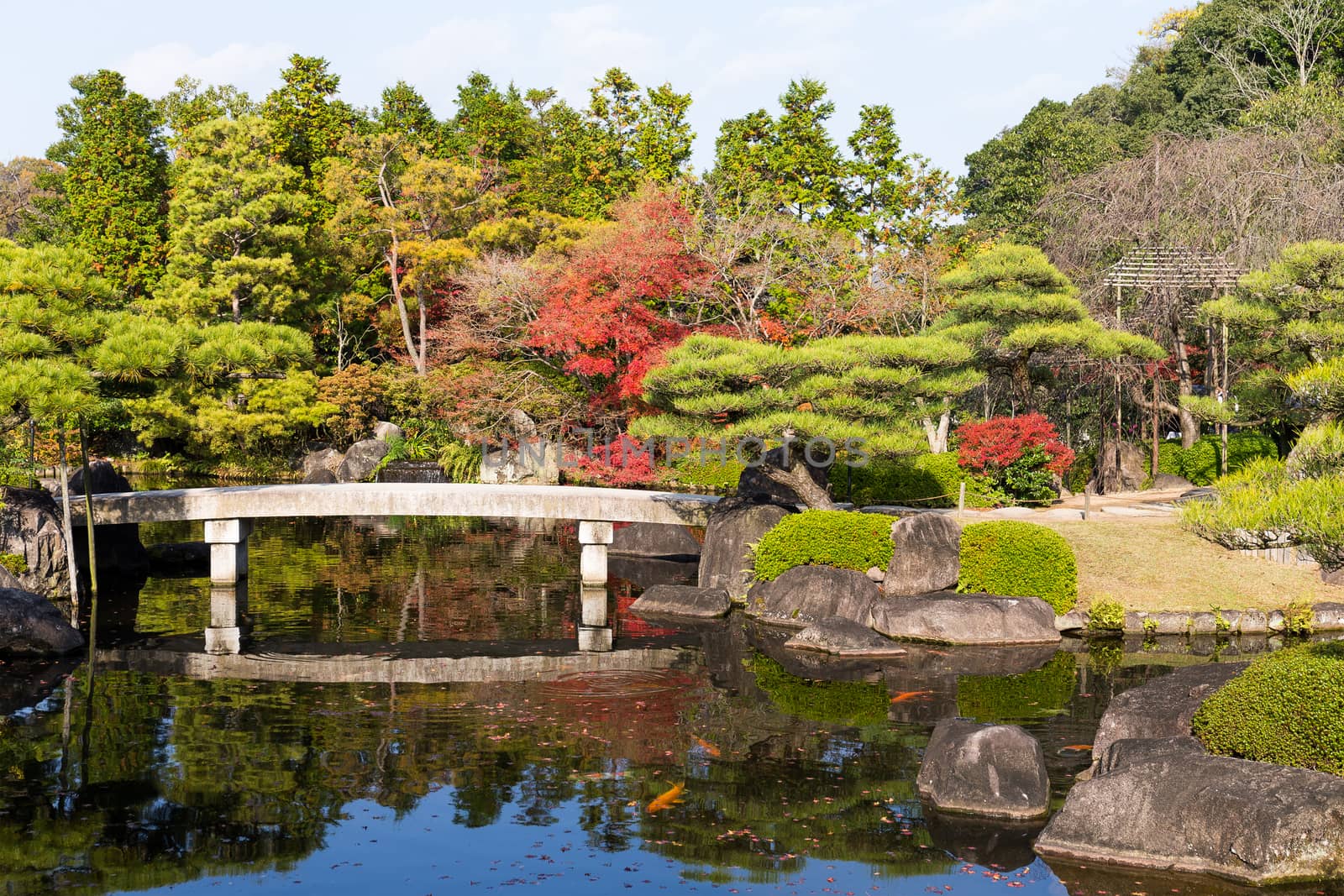 Japanese garden in autumn by leungchopan