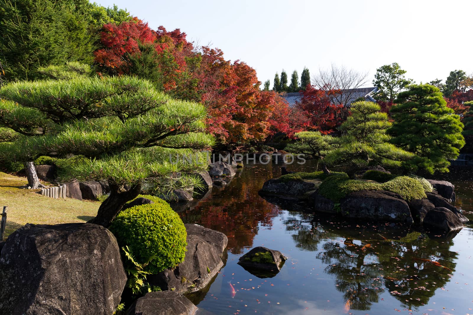 Japanese Kokoen Garden by leungchopan