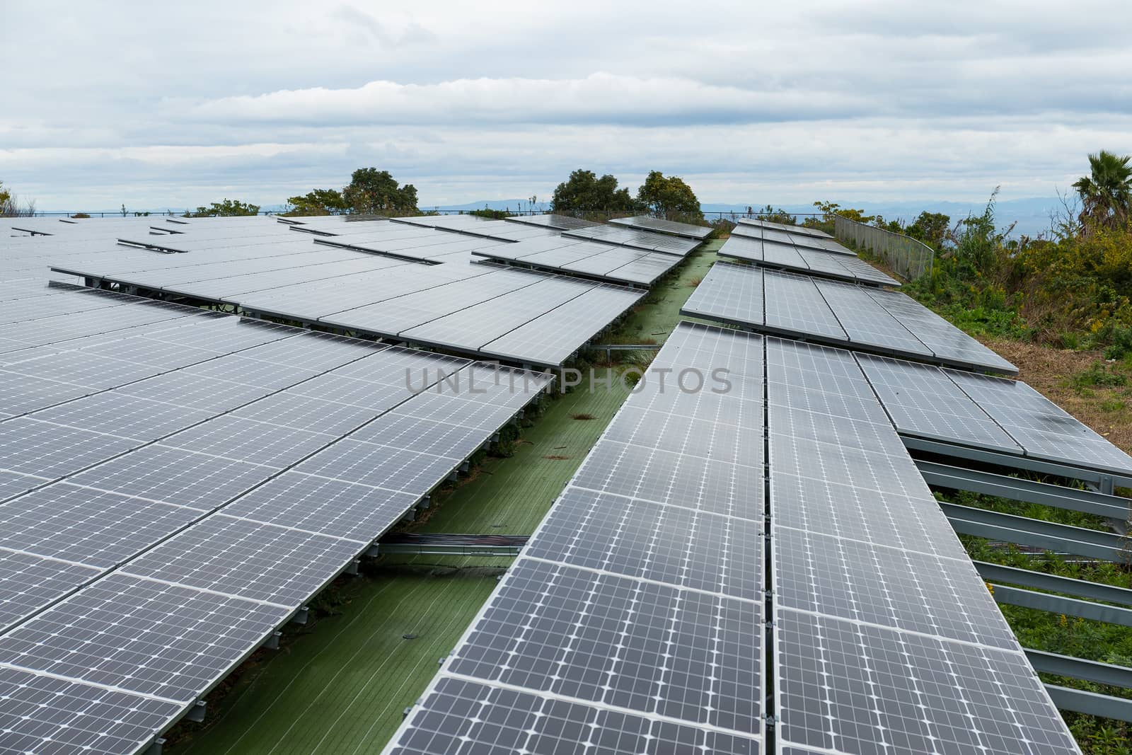 Solar panel plant by leungchopan