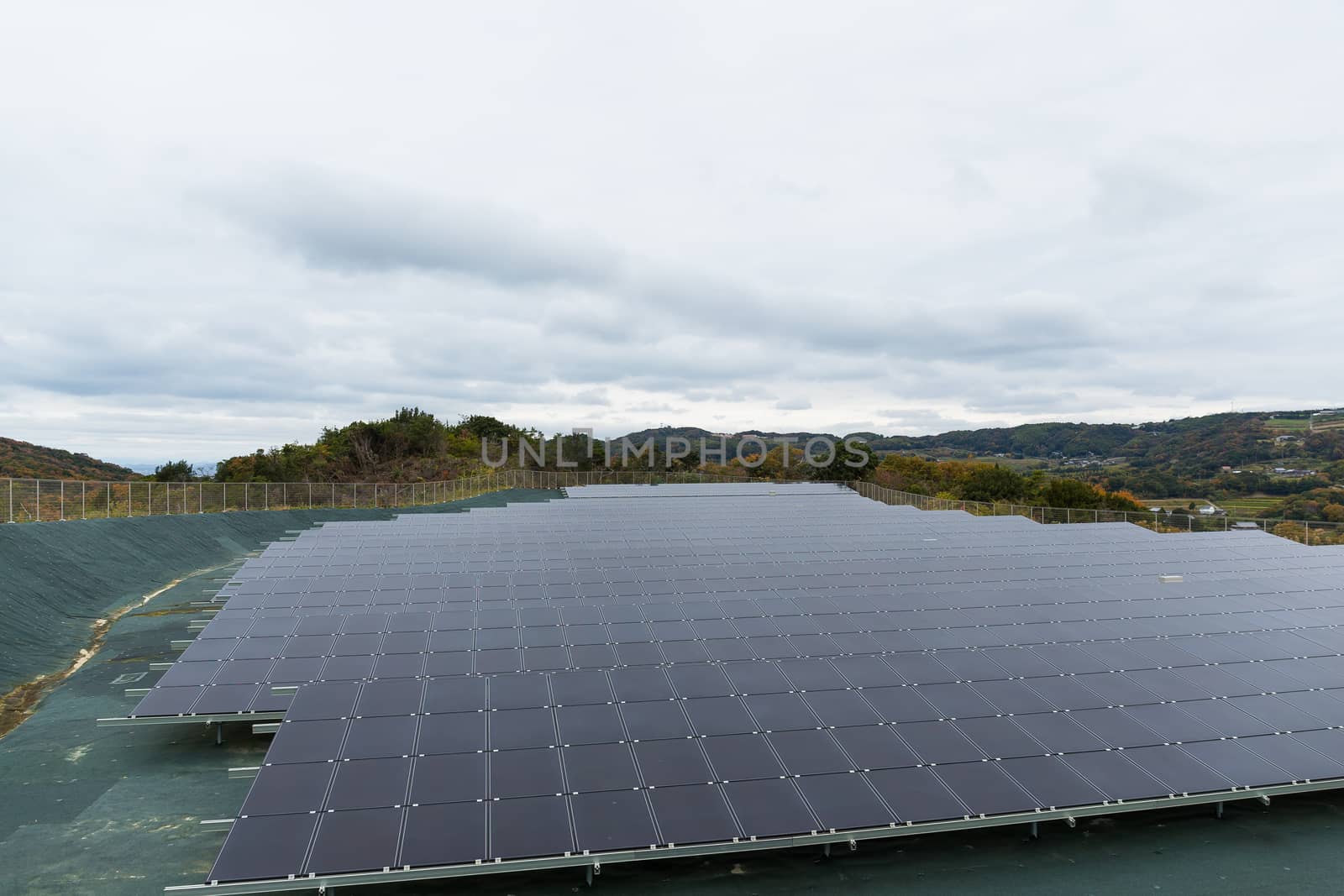 Solar energy panel plant by leungchopan