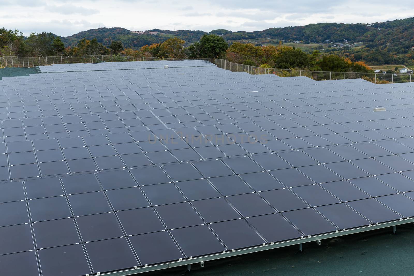 Solar energy panel at outdoor by leungchopan