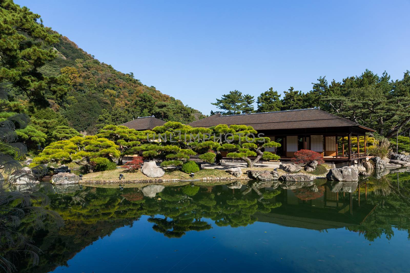 Ritsurin Garden in Japan by leungchopan