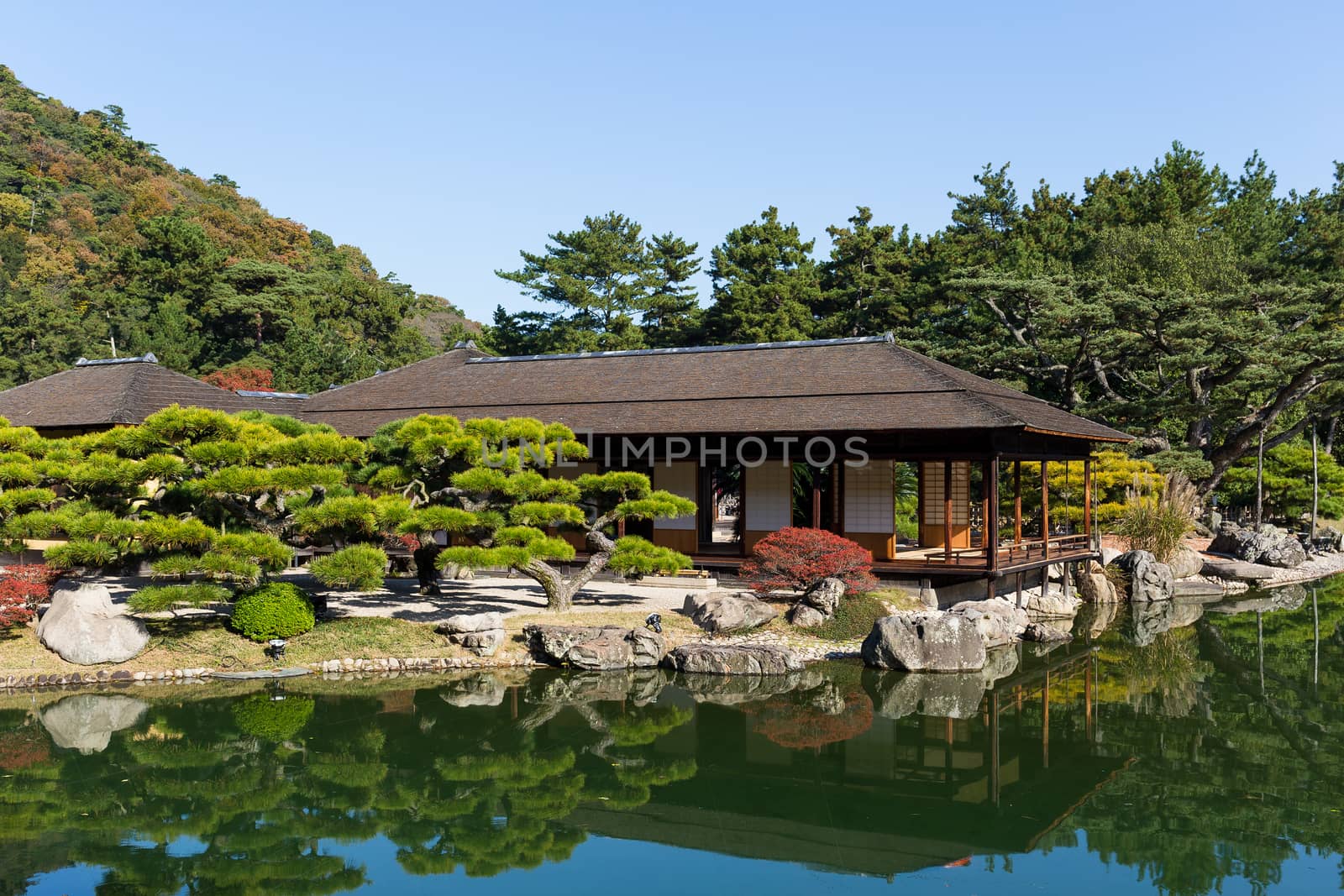 Japanese Ritsurin Garden by leungchopan