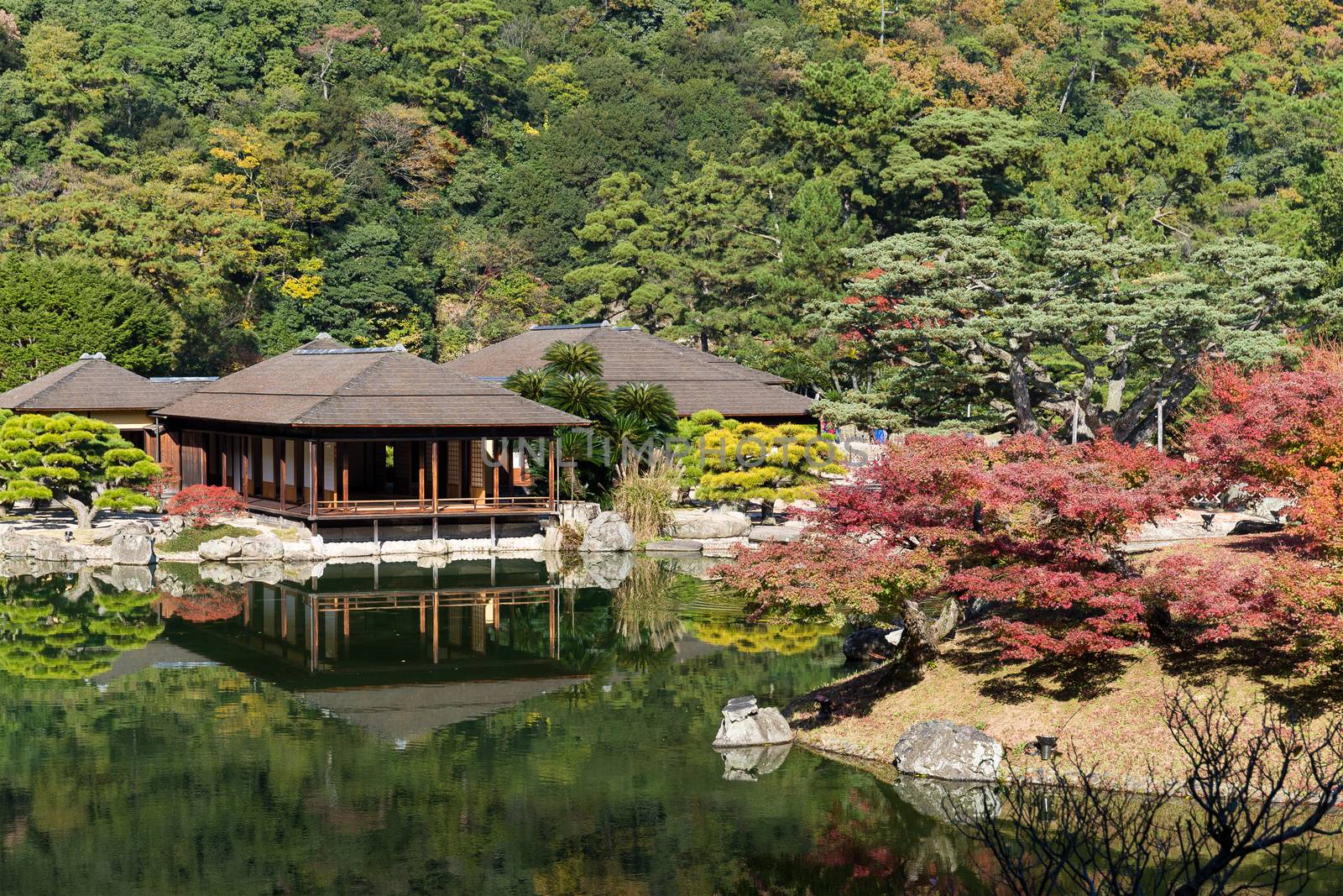 Traditional Ritsurin Garden in Autumn by leungchopan