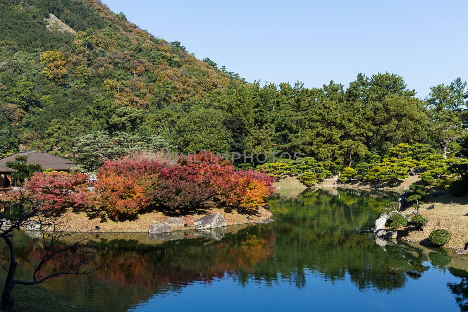Ritsurin Garden in Japan