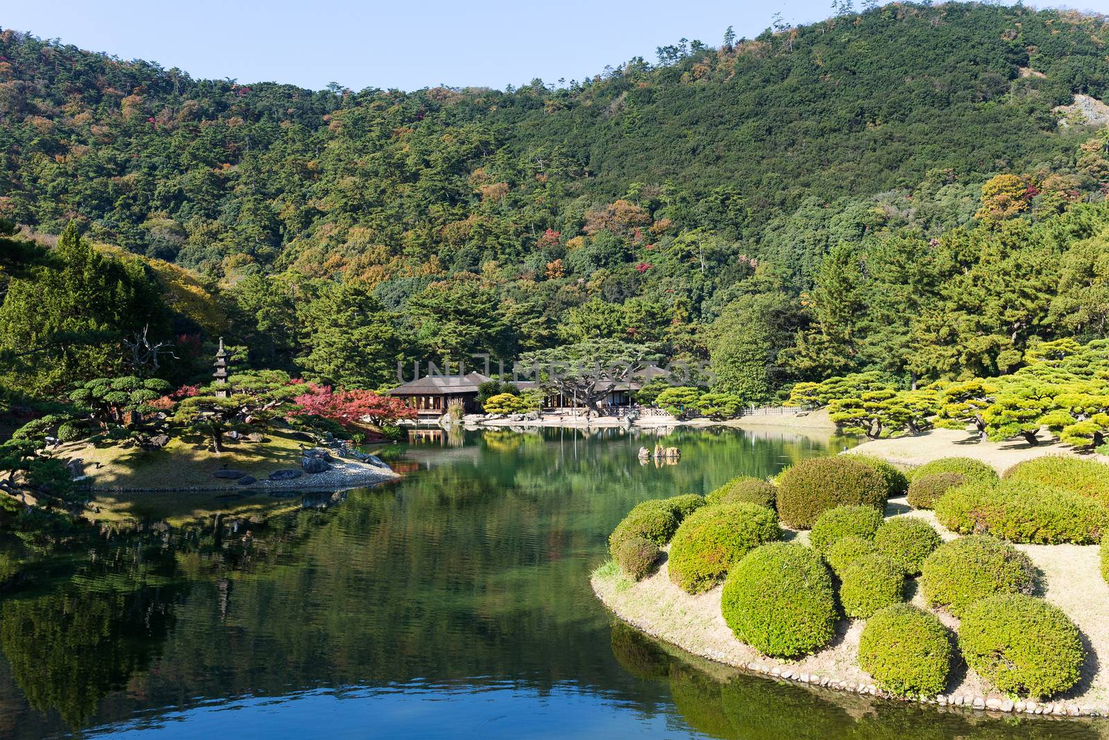 Japanese Ritsurin Garden in autumn