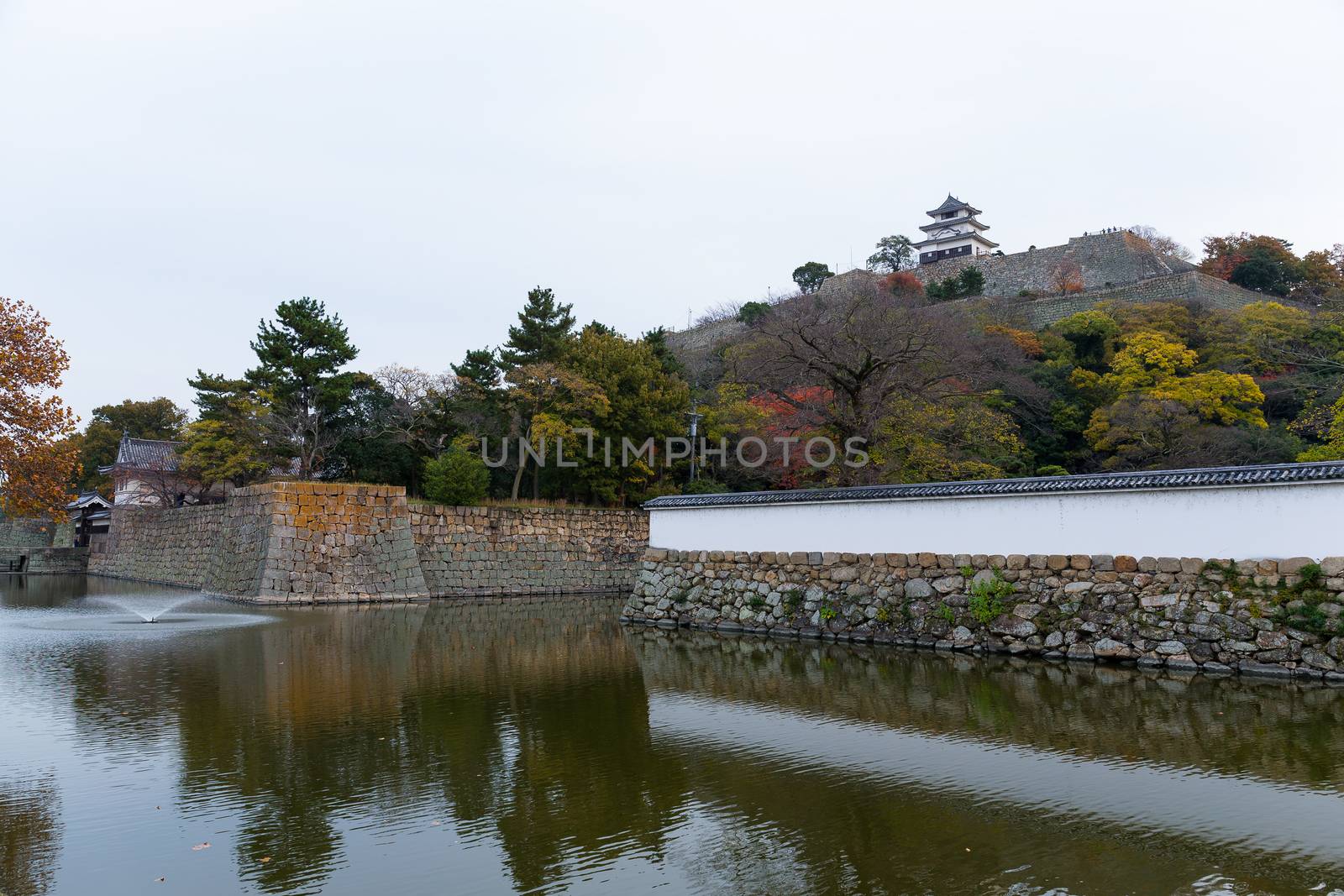 Marugame Castle in Japan at autumn by leungchopan