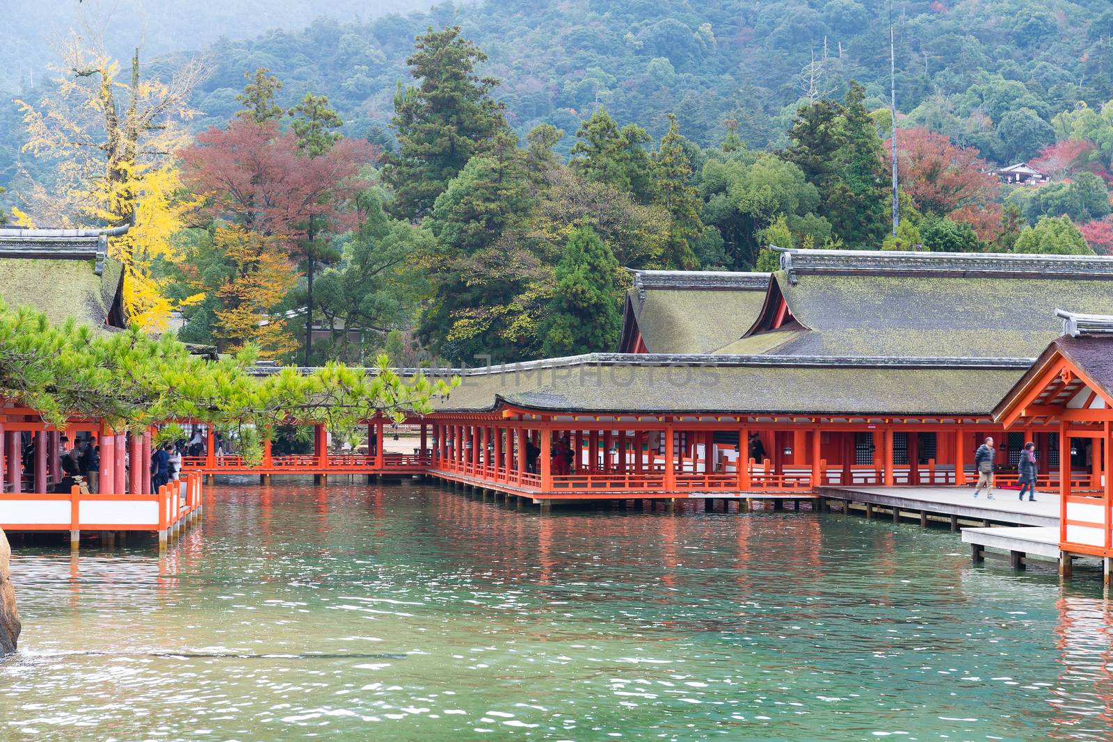 Itsukushima shrine in Japan