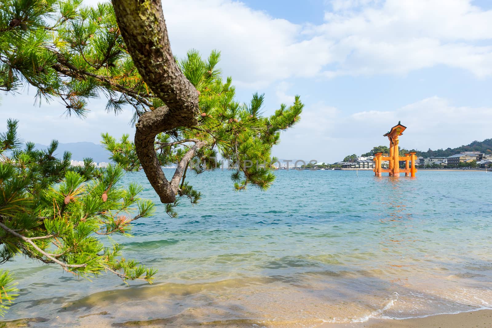 Floating Torii Gate