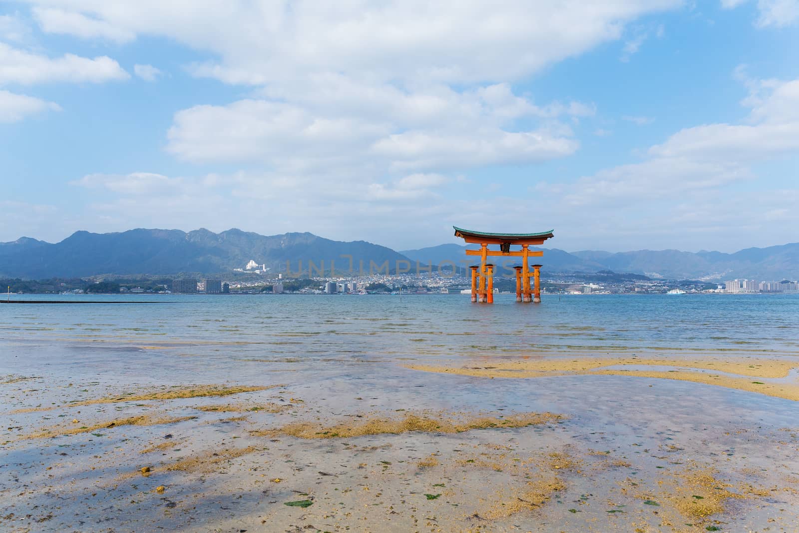Torii in Itsukushima shine