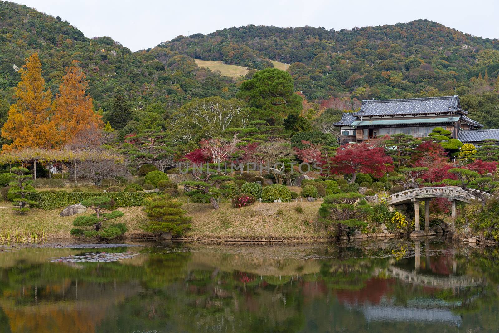 Autumn garden in Japan by leungchopan