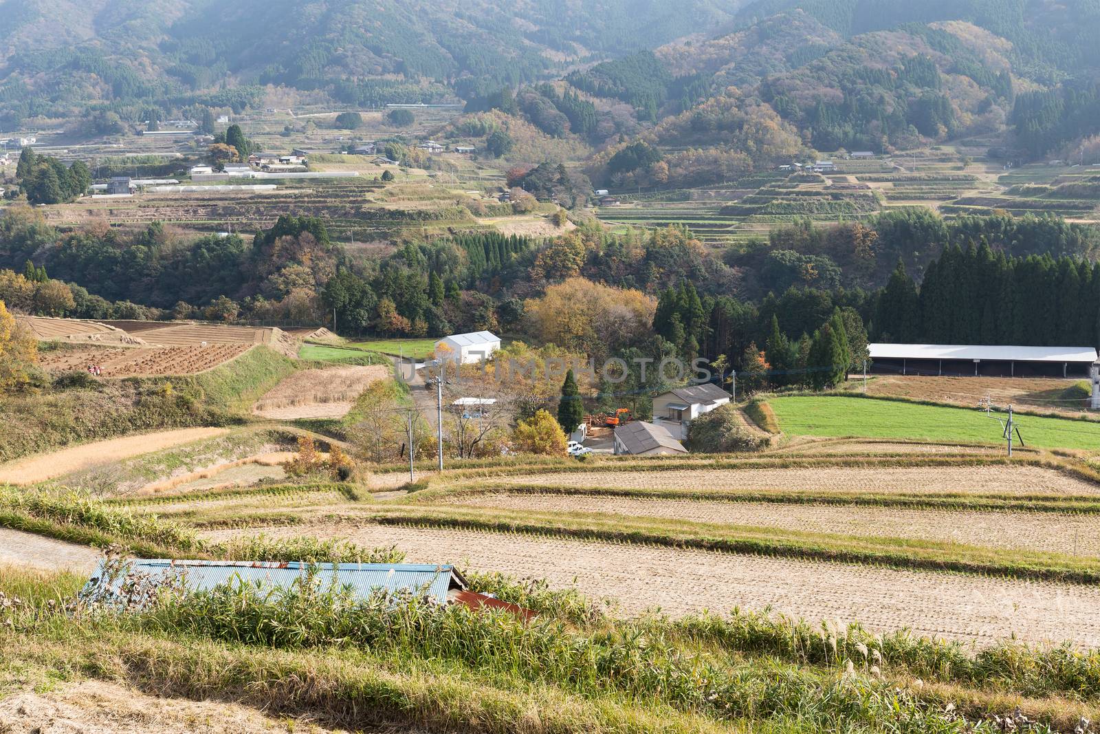 Straw rural landscape by leungchopan