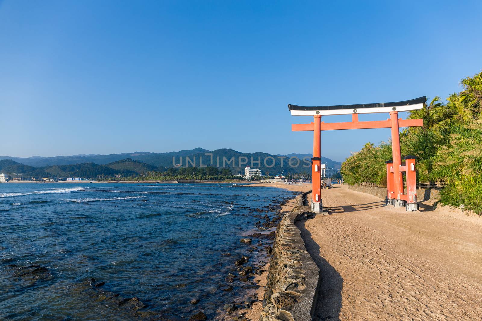 Torii in Aoshima Shrine