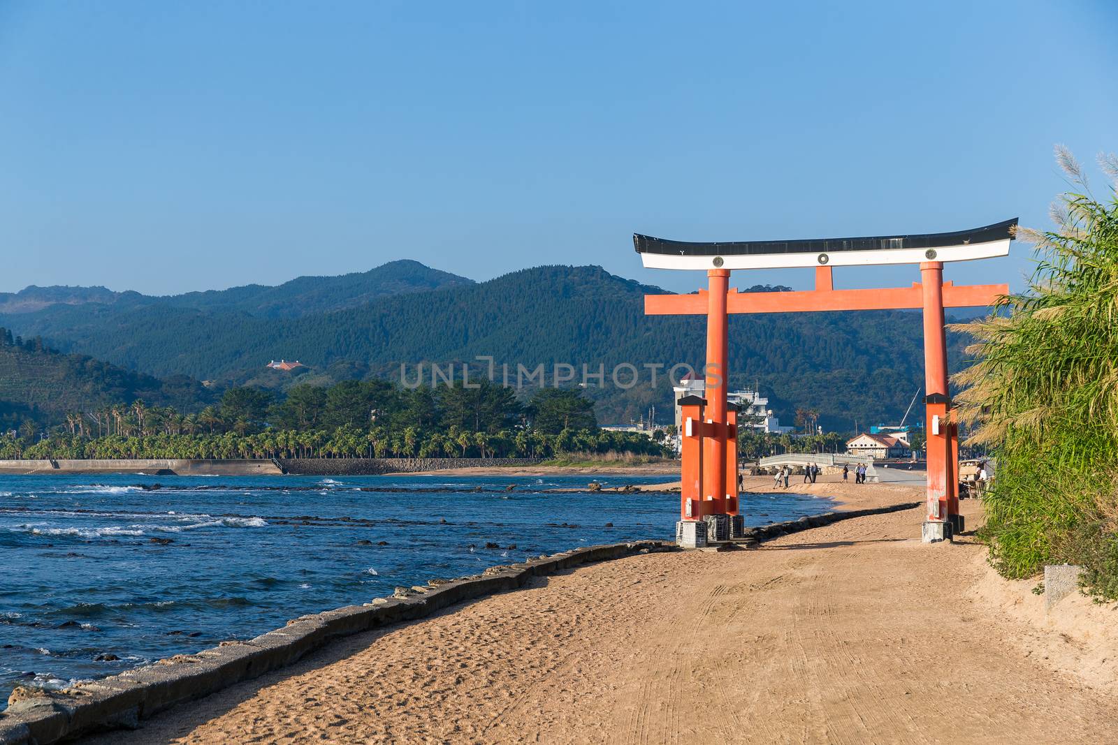 Torii in Aoshima Shrine of Japan by leungchopan