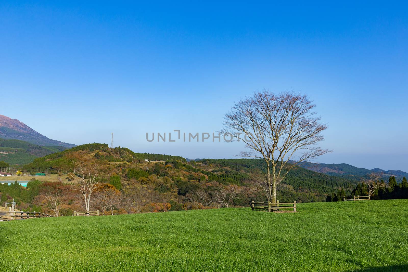 Beautiful farmland