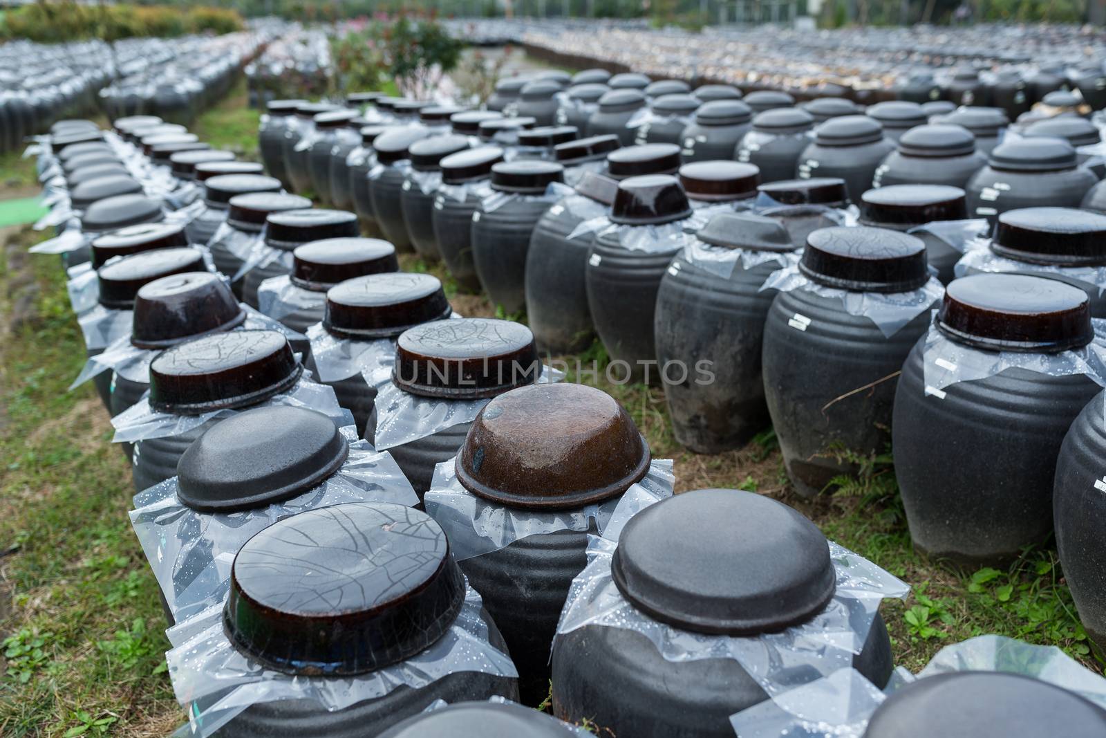 Production of Vinegar in Barrel by leungchopan