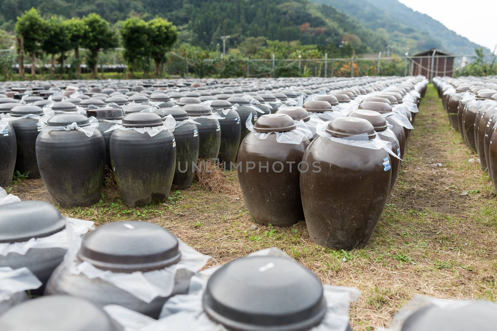 Storage of Vinegar by leungchopan