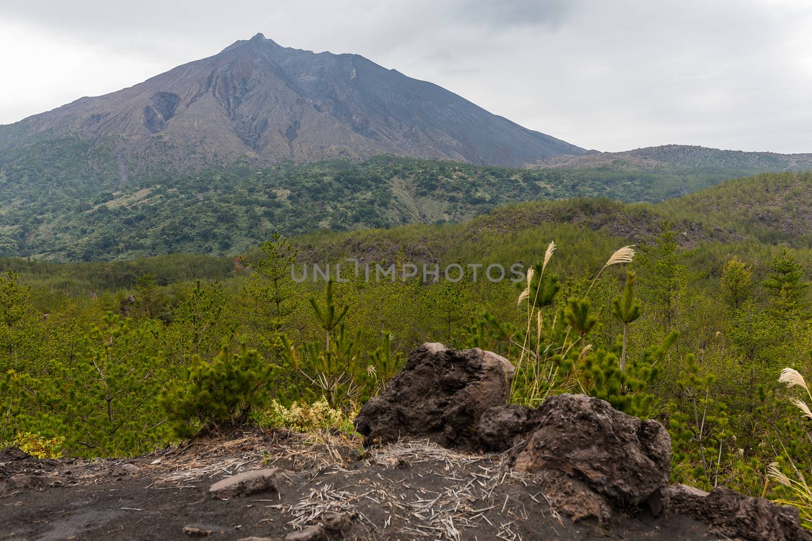 Sakurajima