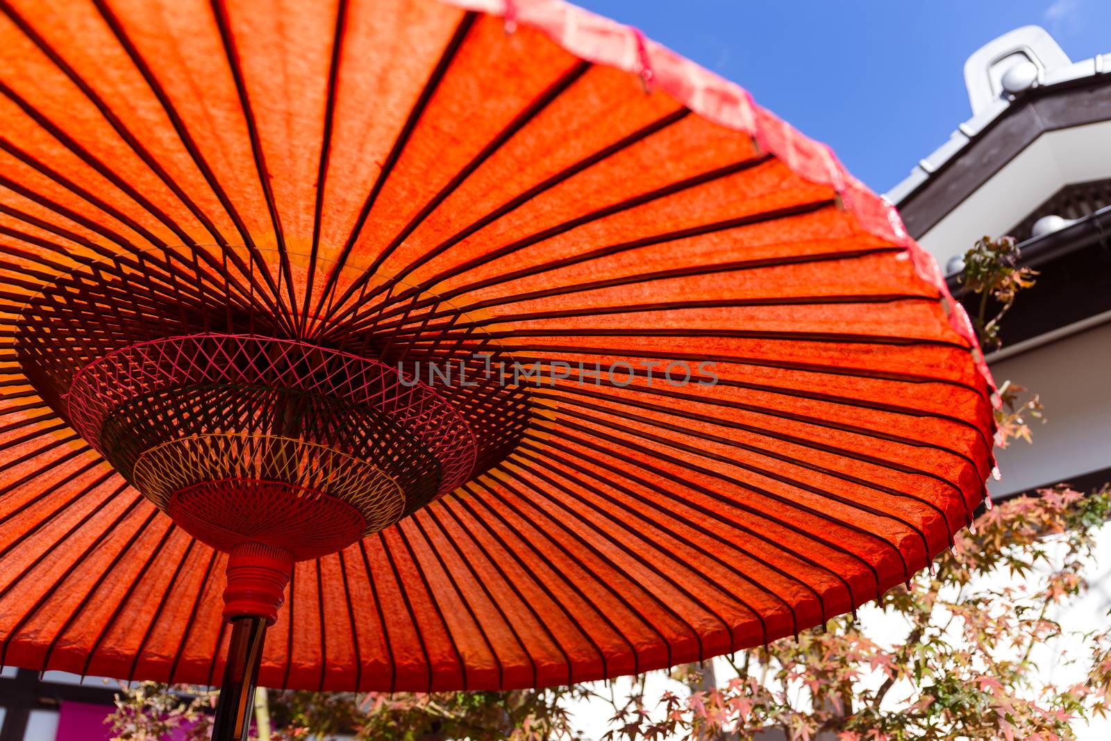 Japanese red umbrella at autumn