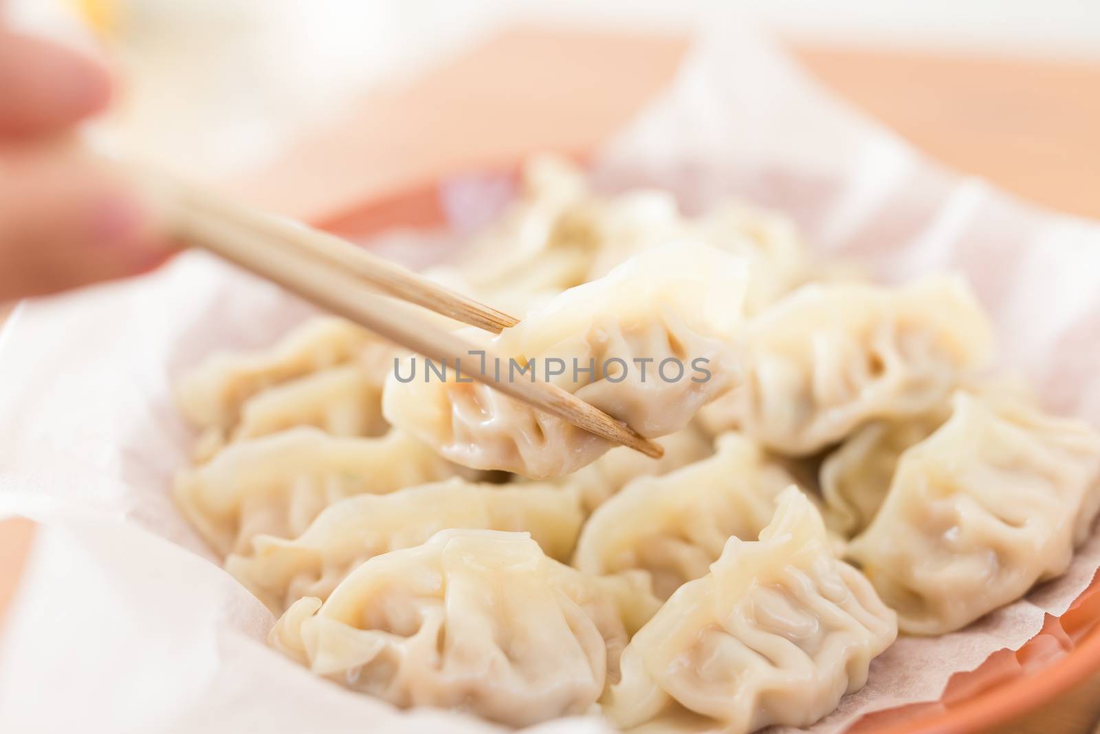 Chinese meat dumplings