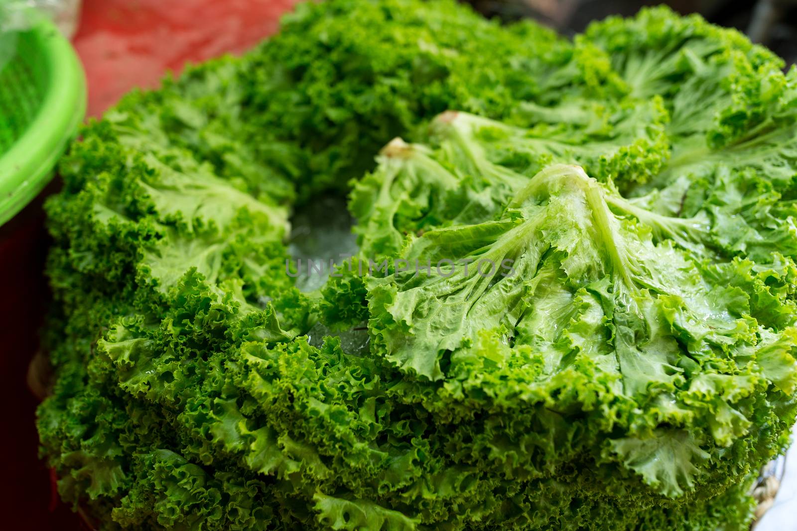 Lettuce cabbage green in wet market by leungchopan