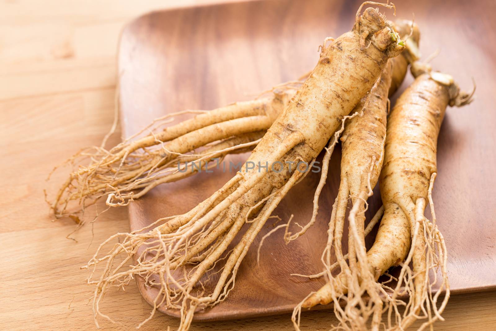 Korean ginseng by leungchopan