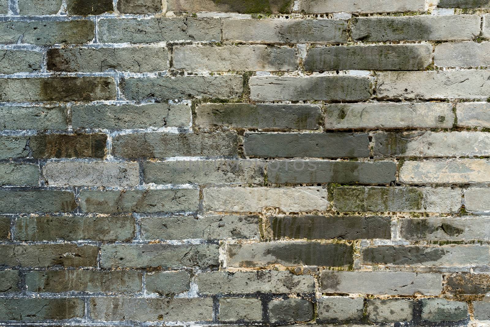 Brick wall texture by leungchopan
