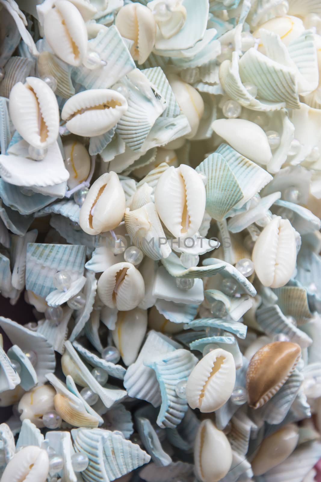 Seashells on rope thread for background, colorful sea shells of  by rakoptonLPN