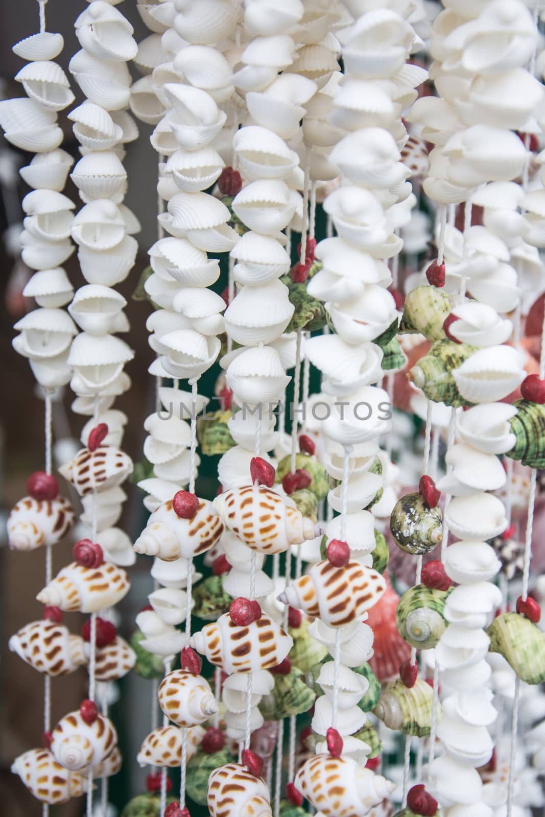 Seashells on rope thread for background, colorful sea shells of various sizes of curtain for background, select focus with shallow depth of field