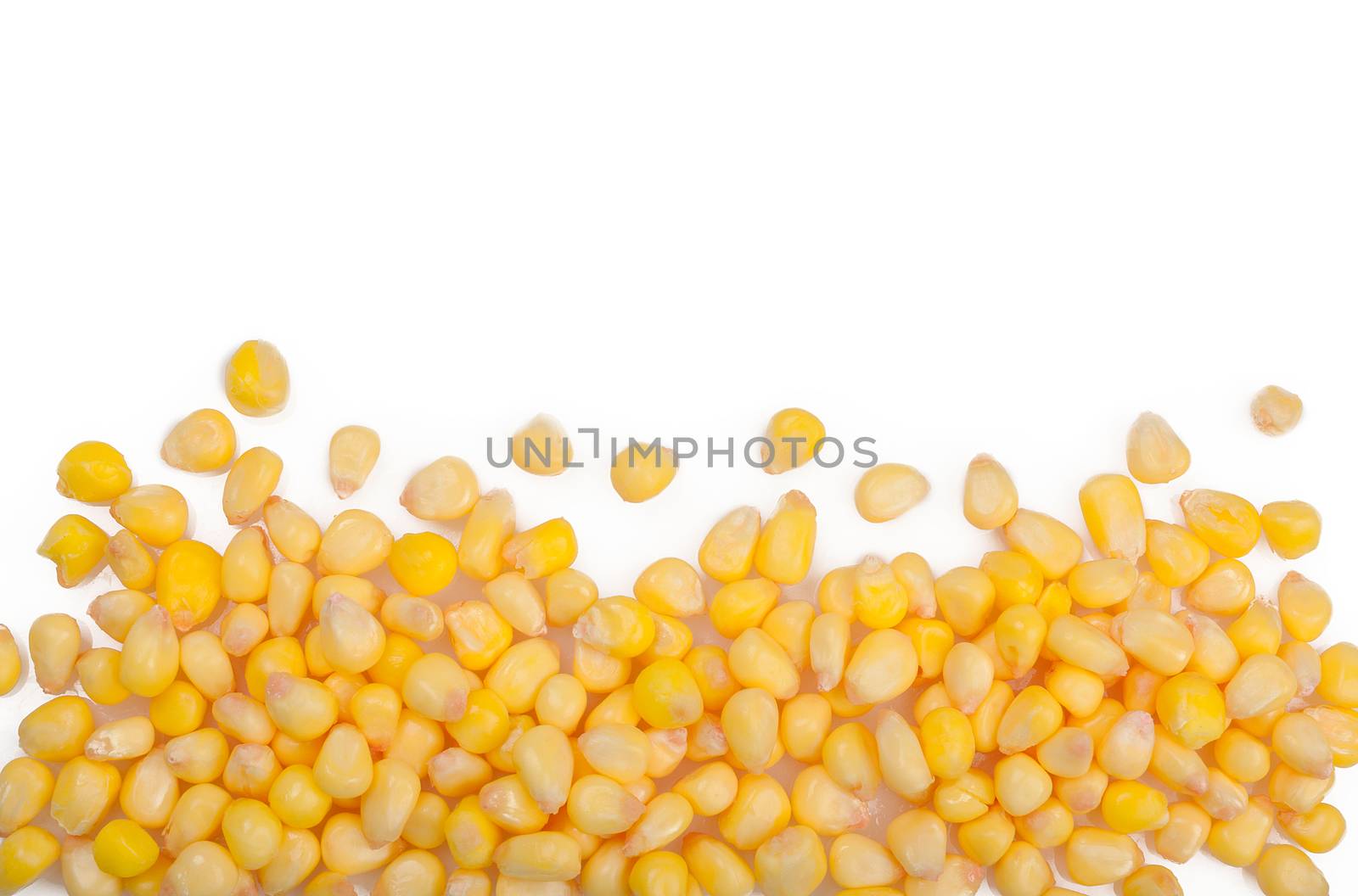 corn isolated on white, corn over white background