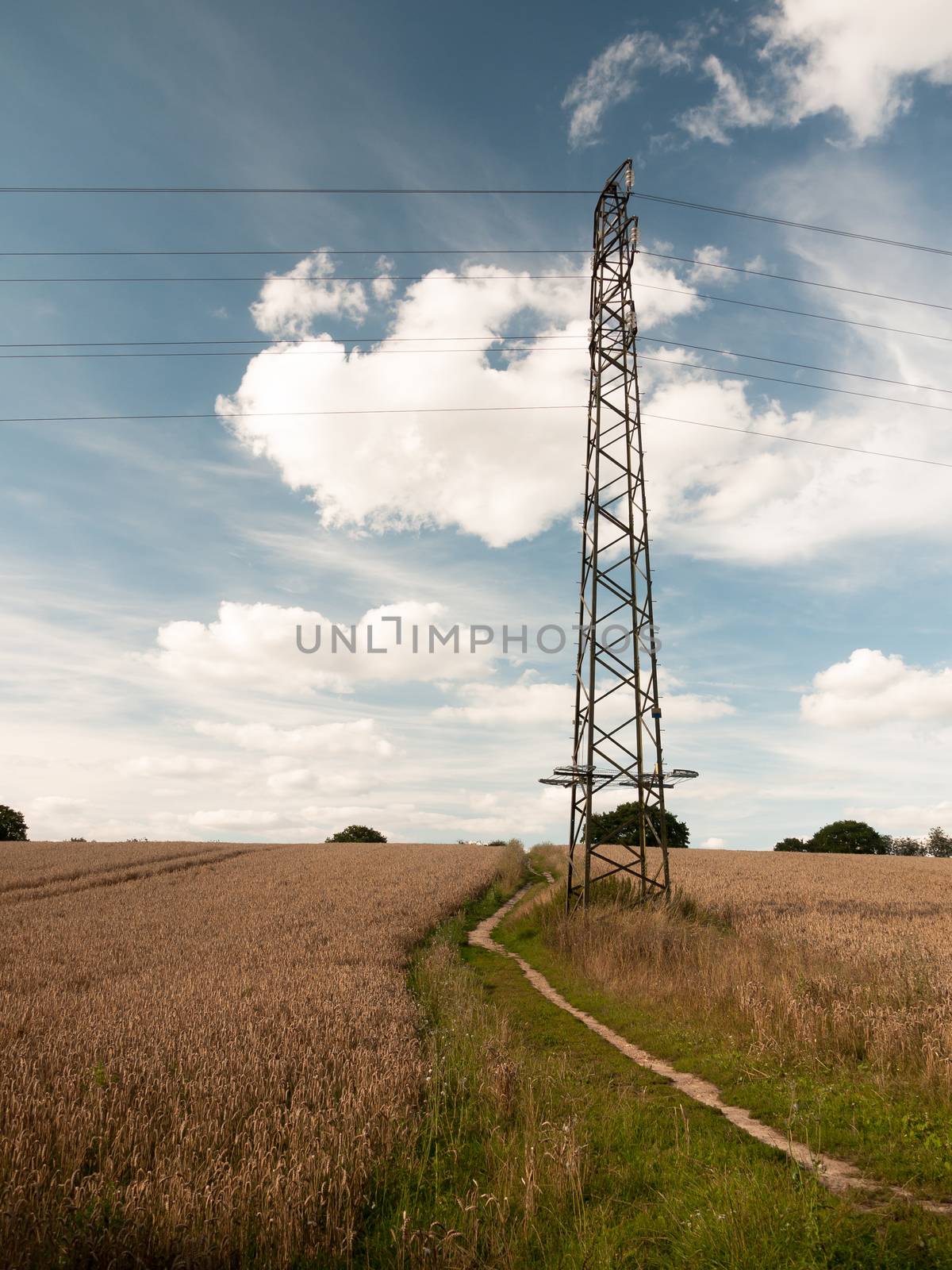 landscape scene of pylon in a wheat field in the country farm; England; UK