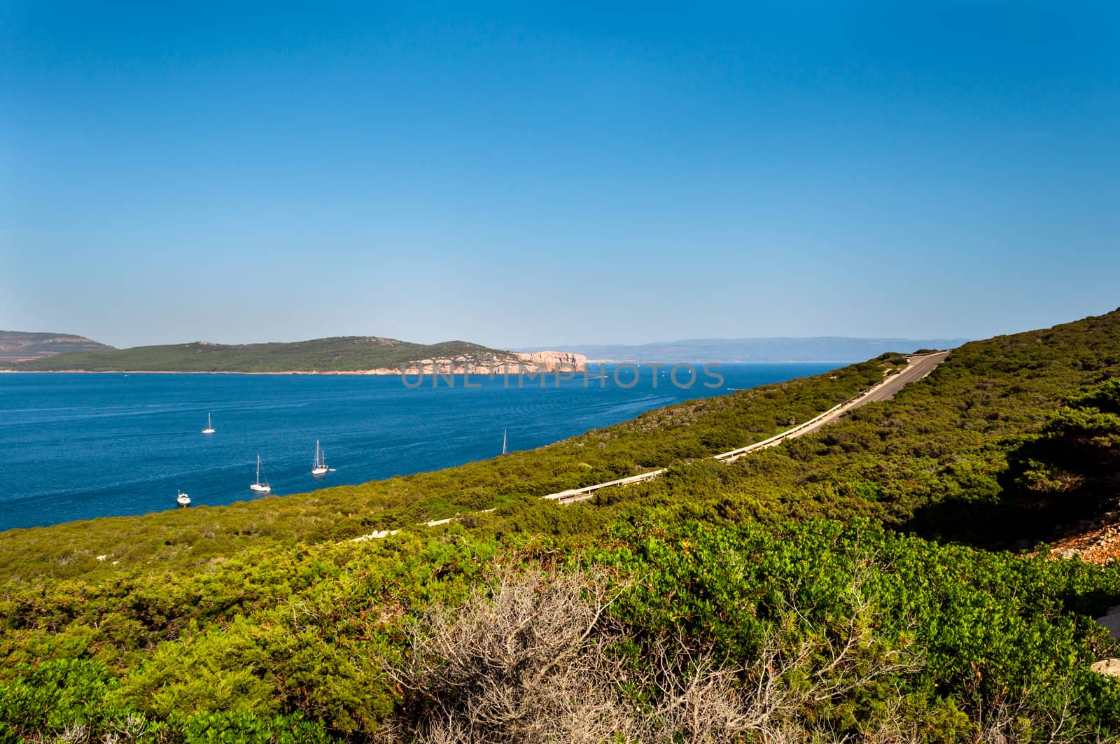 Landscape of coast of Sardinia in the gulf of Capo Caccia