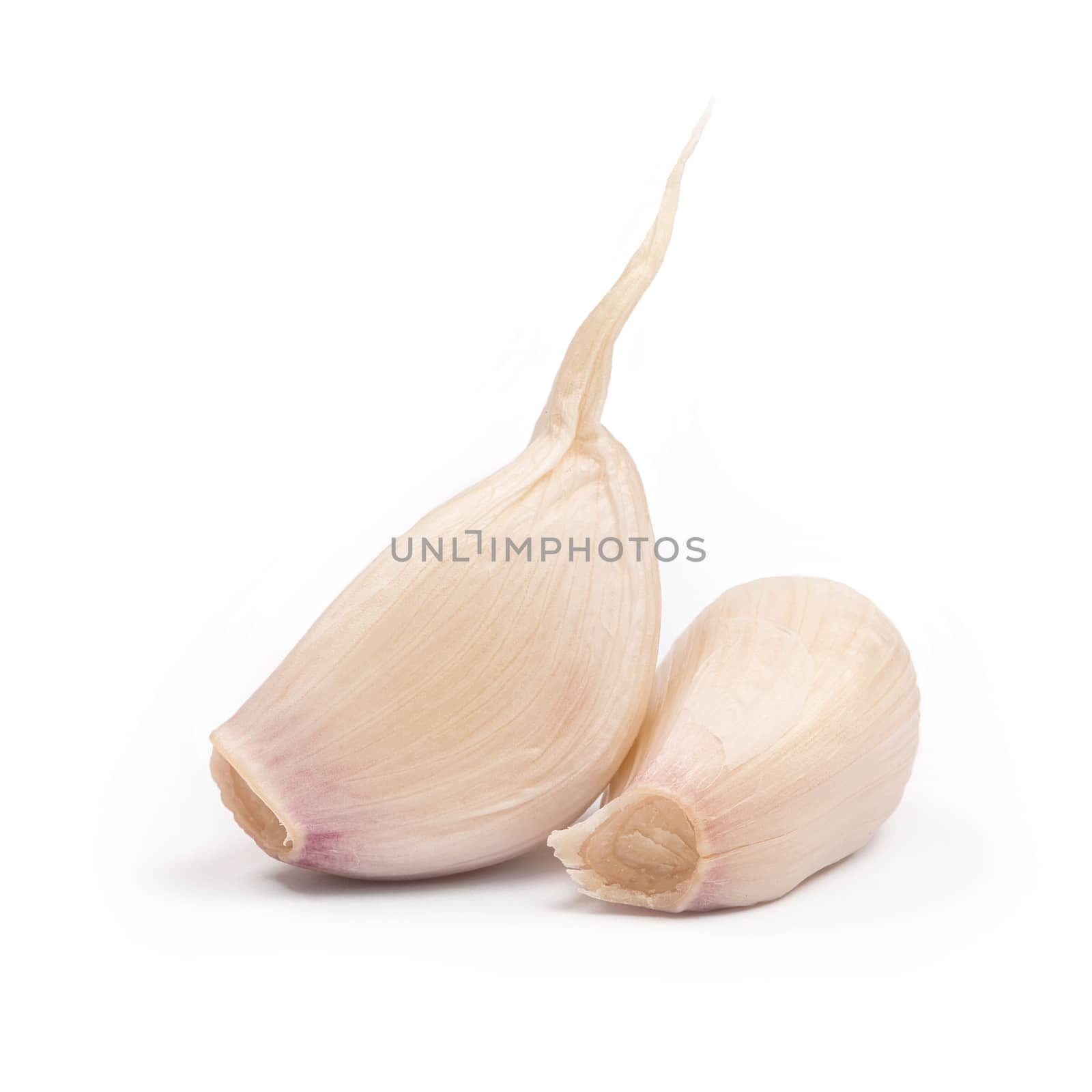 Garlic cloves close up isolated on the white background.