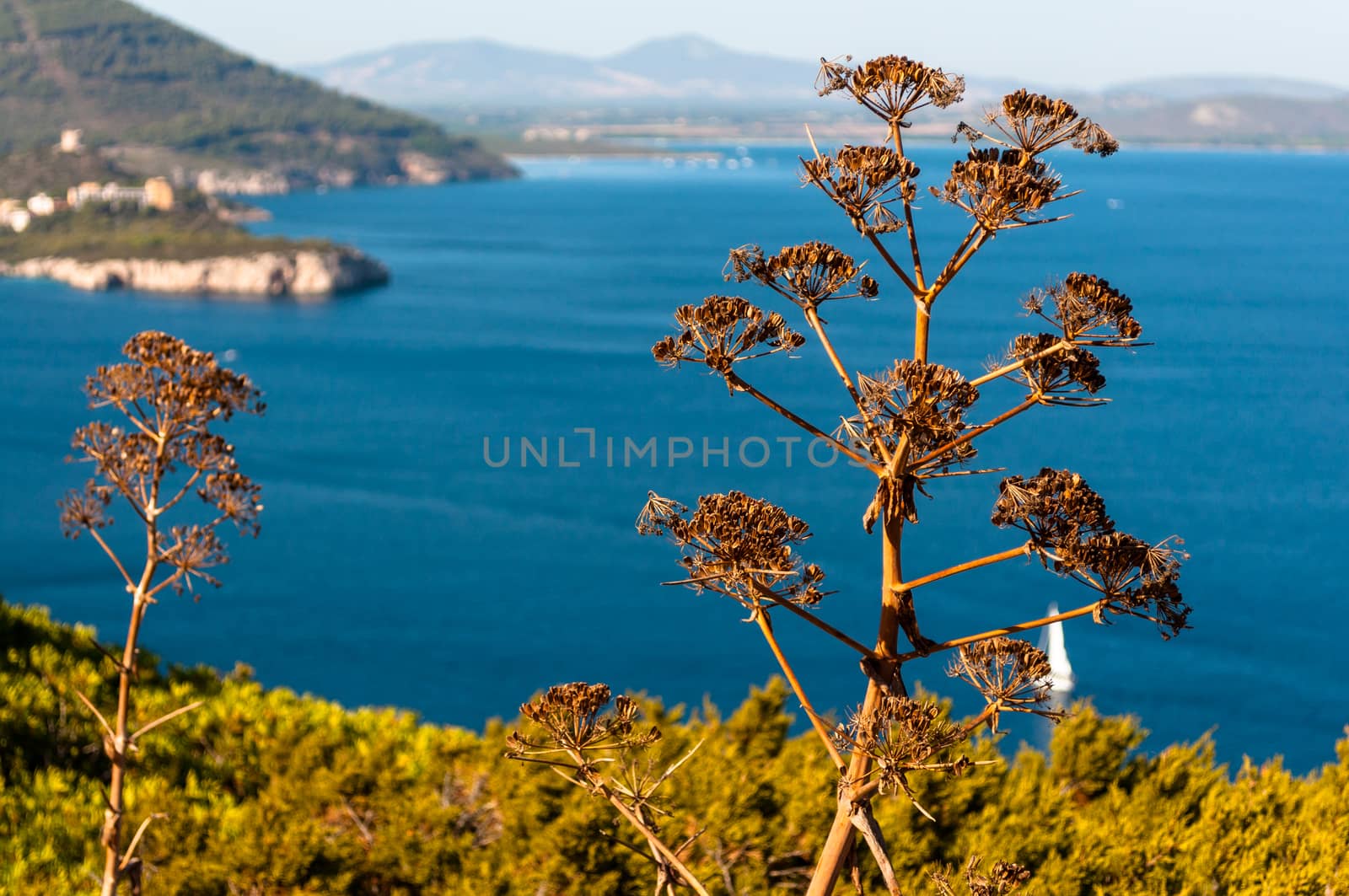 Landscape of coast of Sardinia by replica