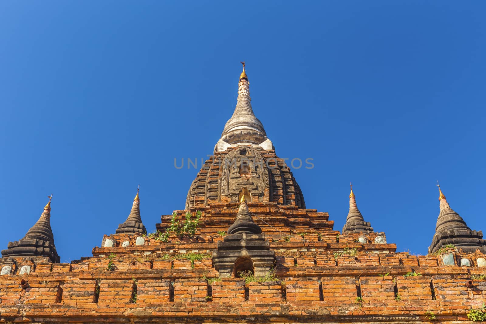 Bagan buddha tower at day by cozyta