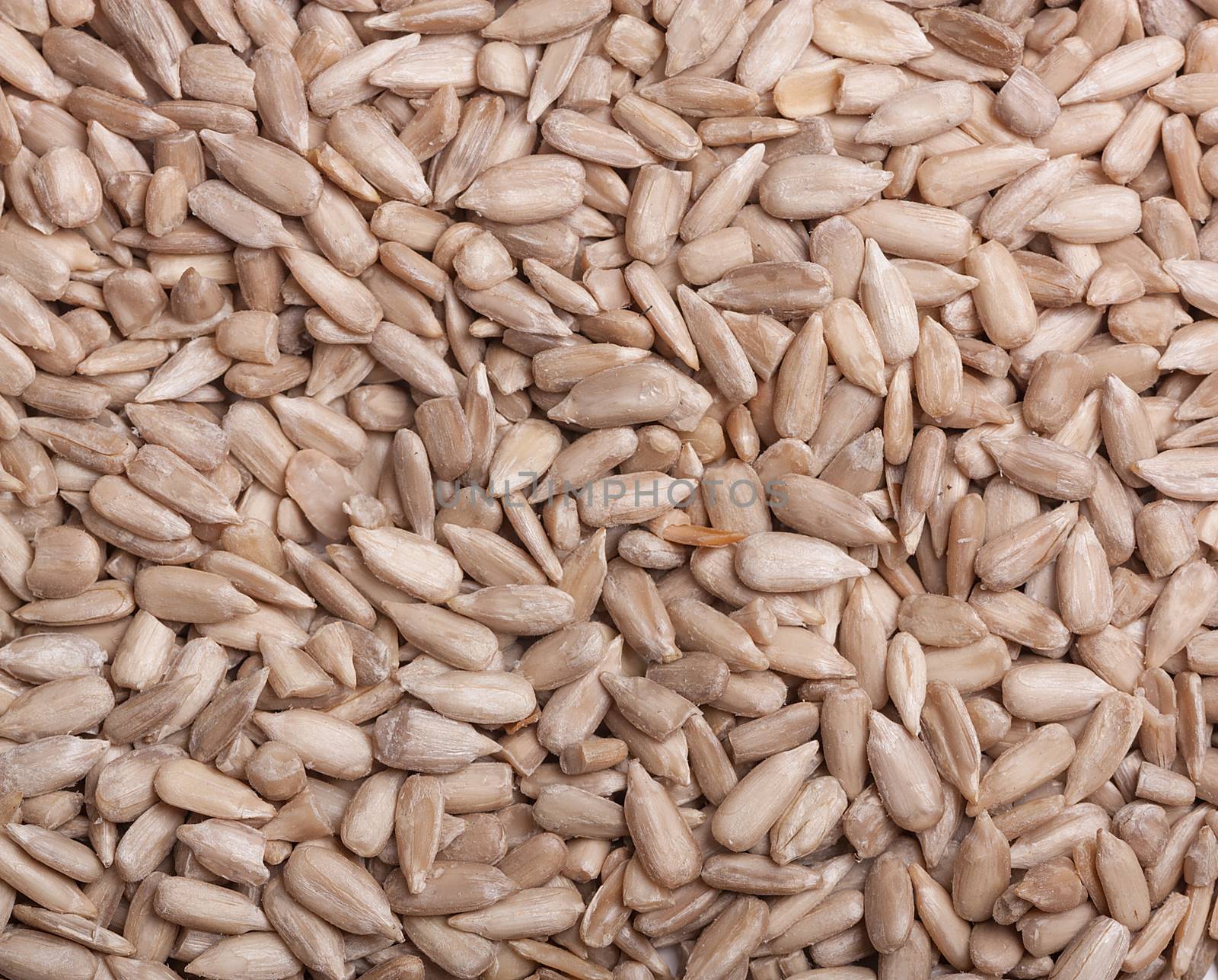 Sunflower seeds background. Peeled by ivo_13