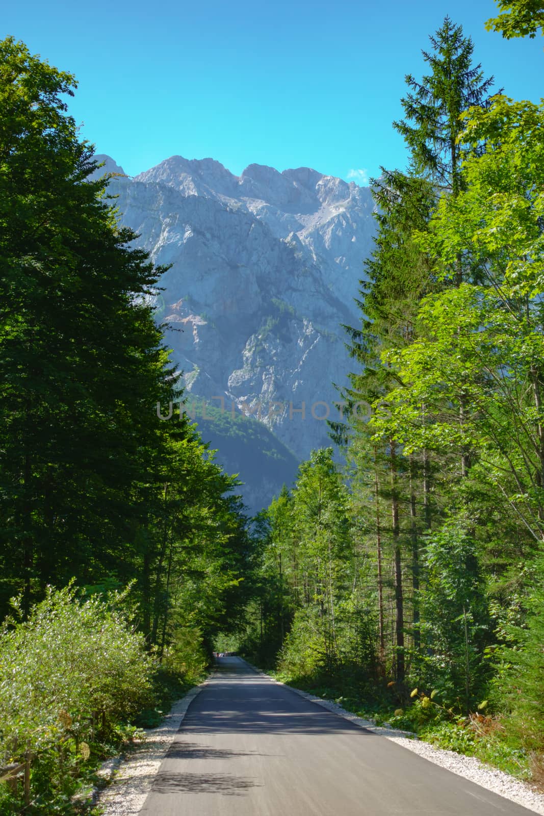 Alpine road leading into a valley on a sunny day, mountains in background, Logarska Logar valley, Slovenia, European Alps