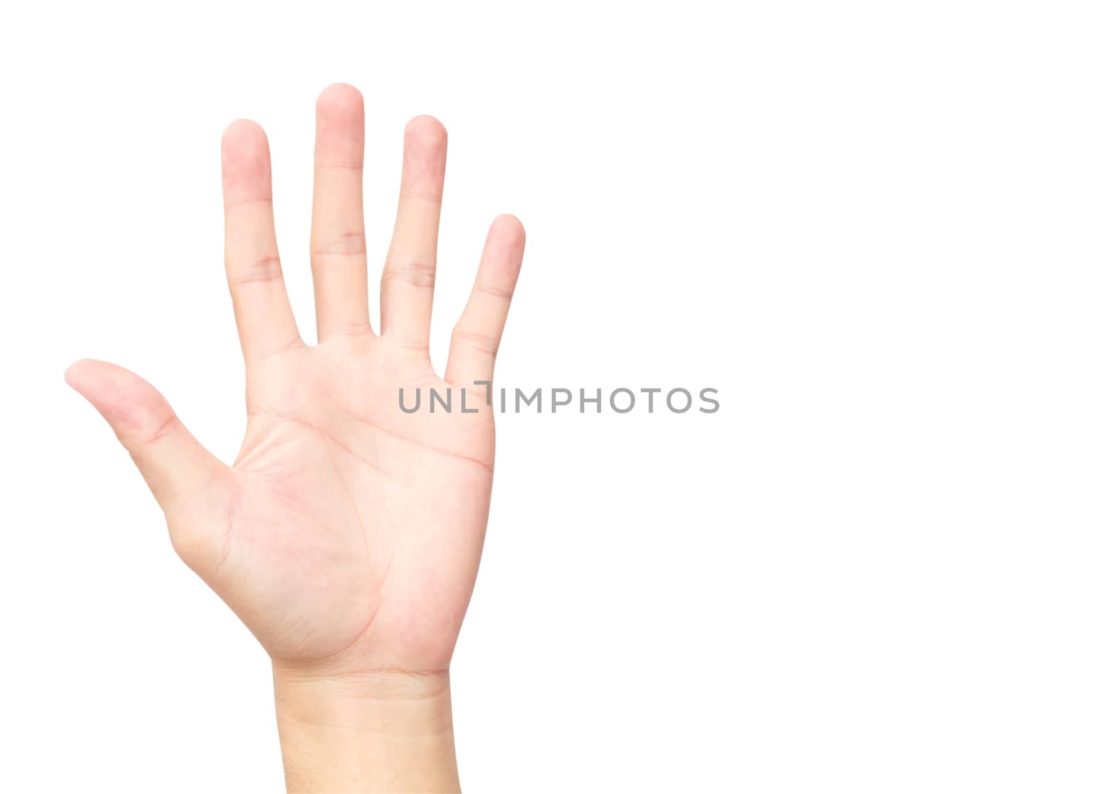 Hand palms on white background with clipping path
