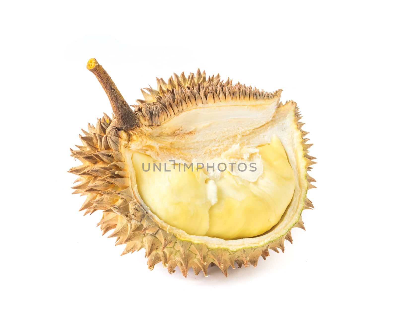 Durian on white background, topical fruit