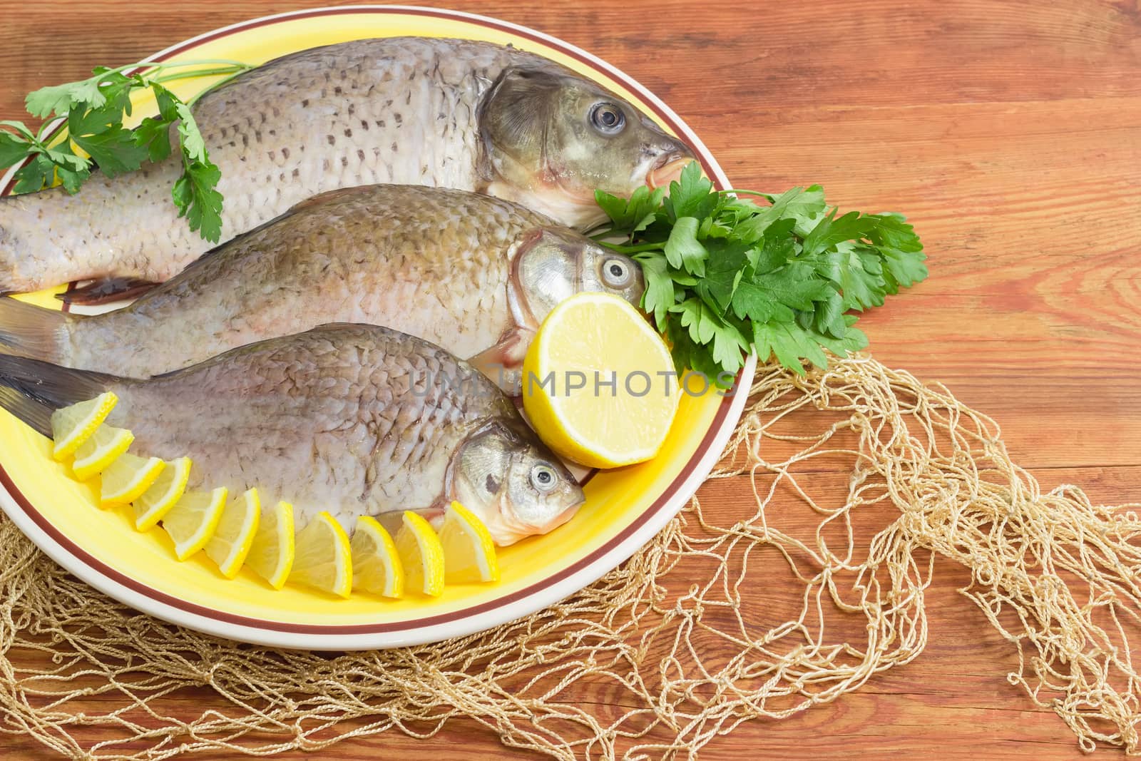 Fragment of a yellow dish with carp and crucians different sizes with peeled scales and prepared for cooking and parsley twigs and part of the fishing net on a surface of the old wooden planks
