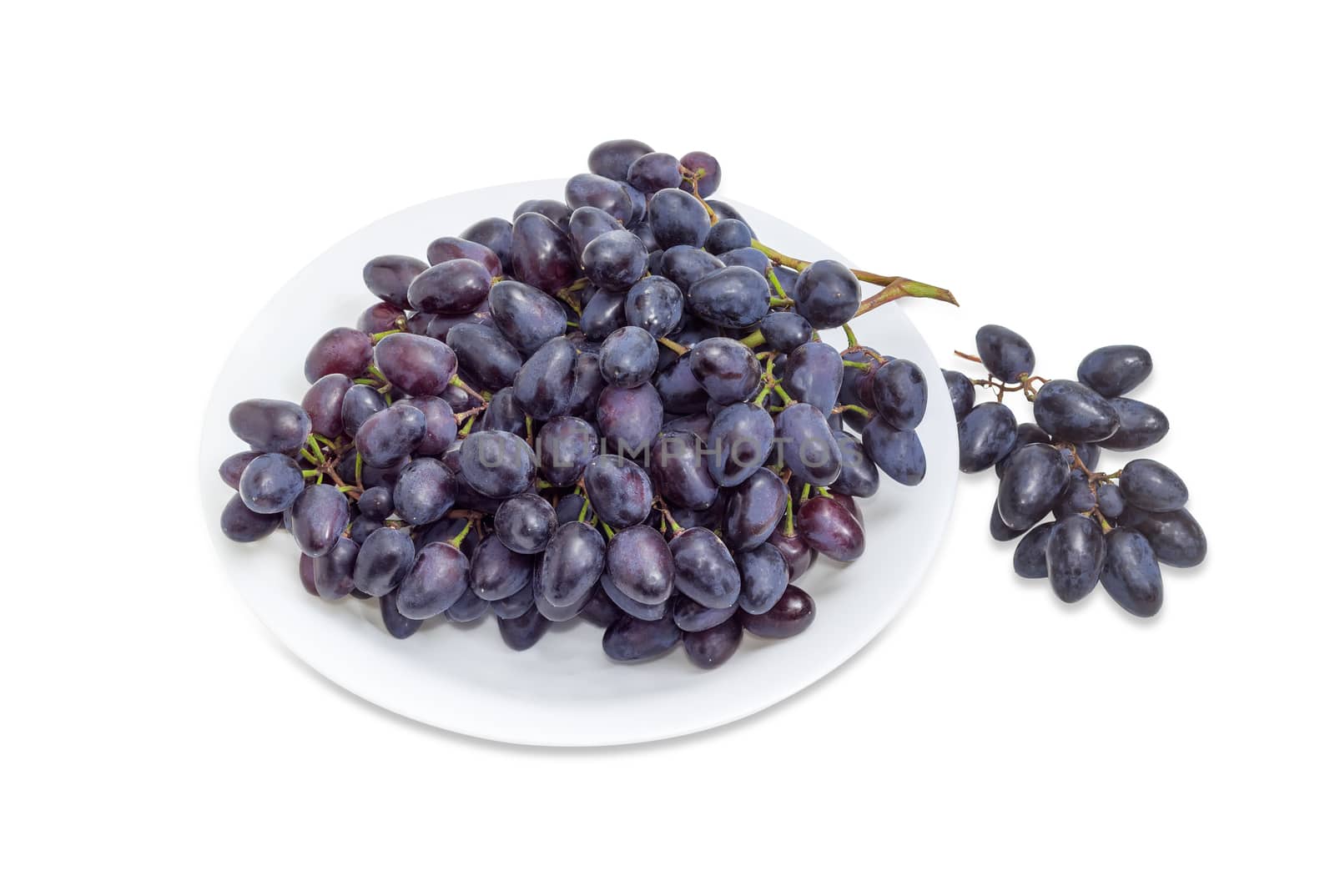 Big cluster of the ripe dark blue table grapes on a white dish and small grape cluster beside on a white background
