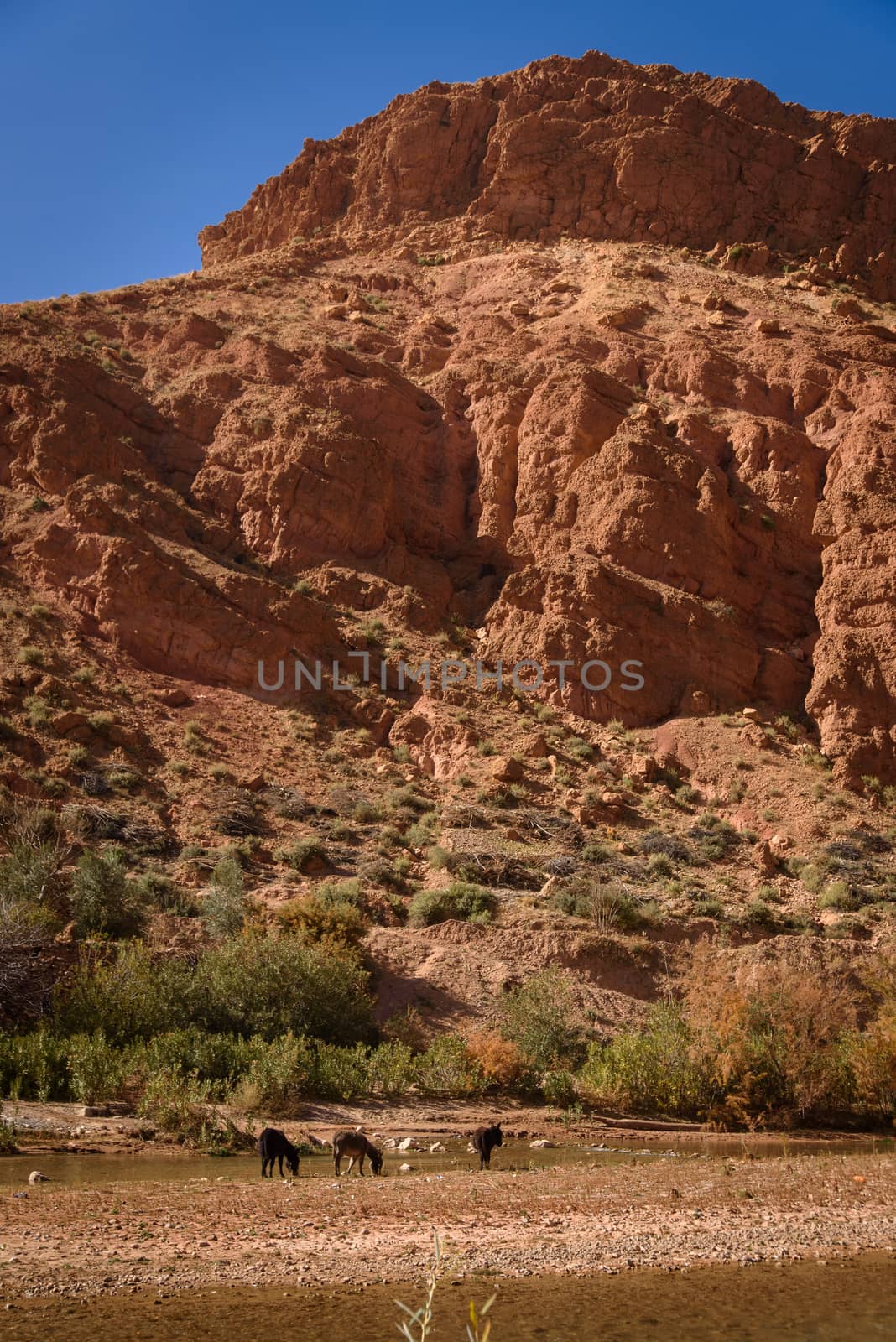 Scenic landscape, Atlas Mountains, Morocco by johnnychaos