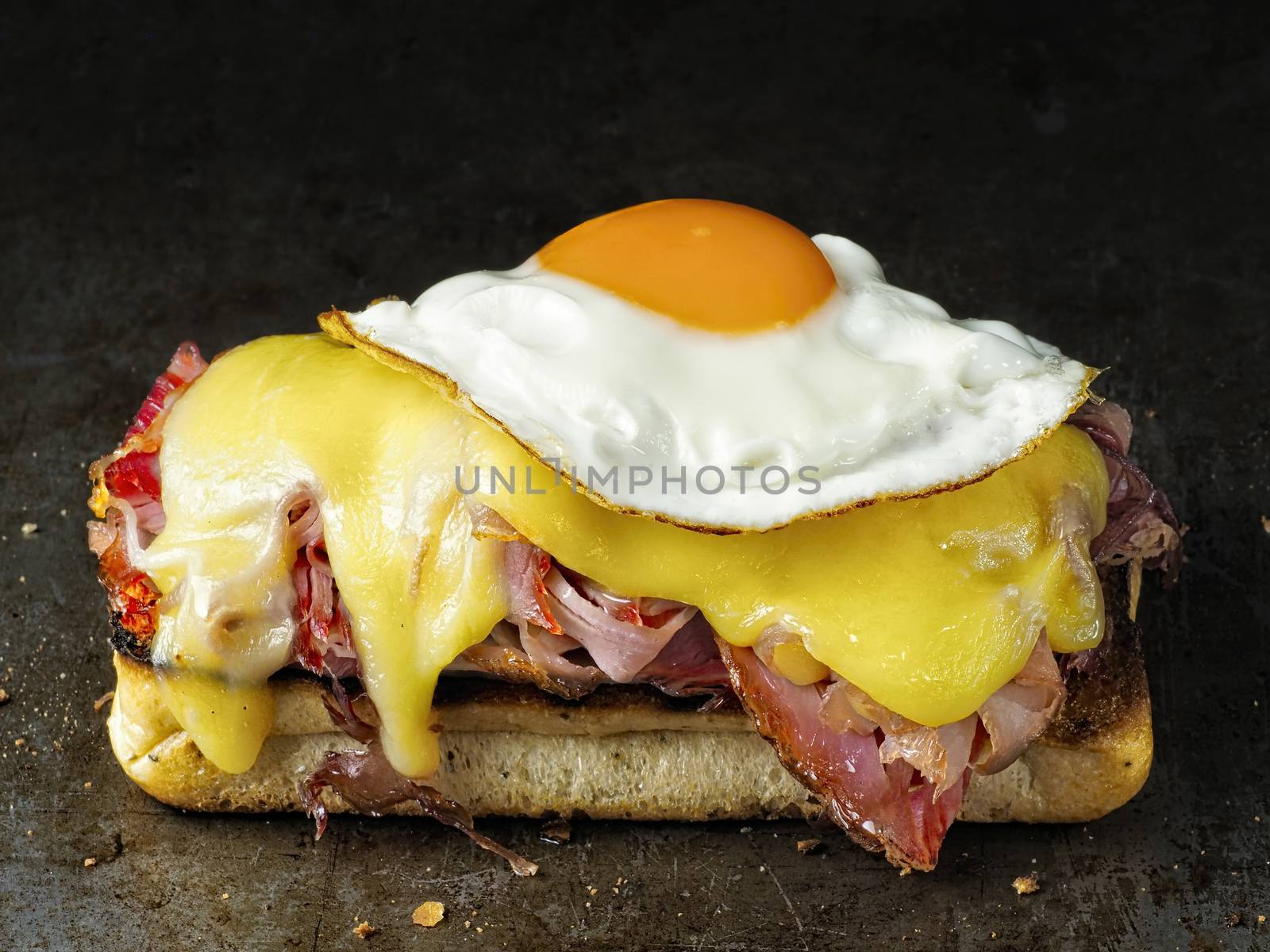rustic french sandwich croque madam by zkruger