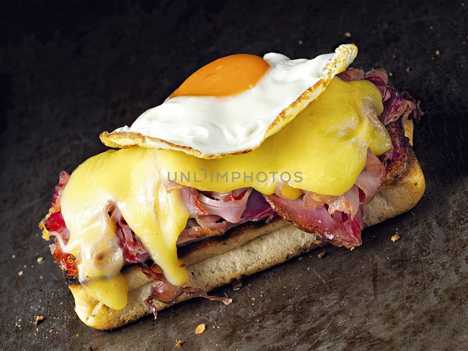rustic french sandwich croque madam by zkruger