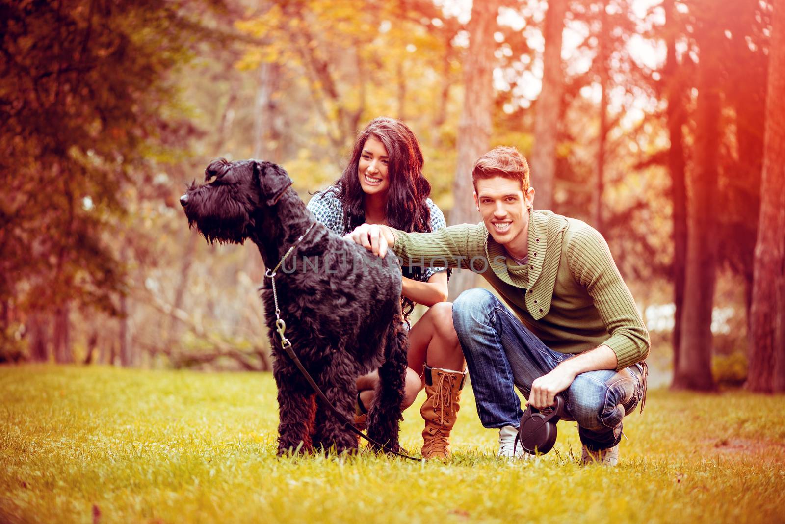 Beautiful lovely couple with a dog, a black giant schnauzer, enjoying in the park in autumn colors.
