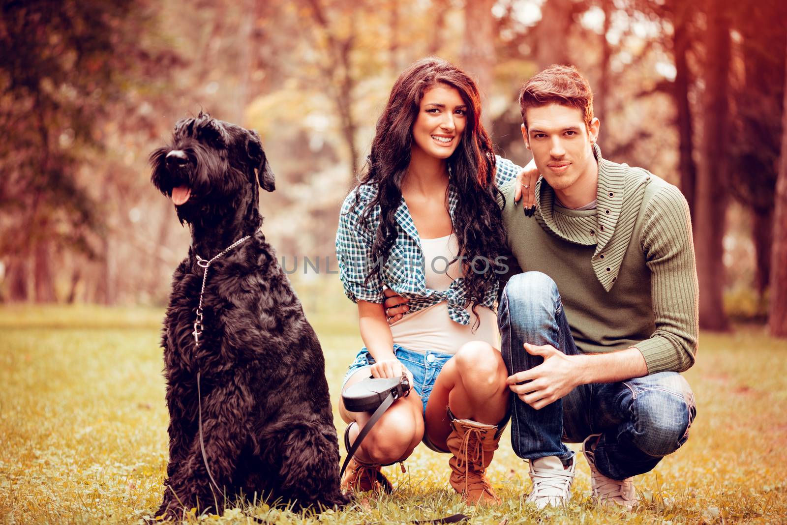 Beautiful lovely couple with a dog, a black giant schnauzer, enjoying in the park in autumn colors. Looking at camera.