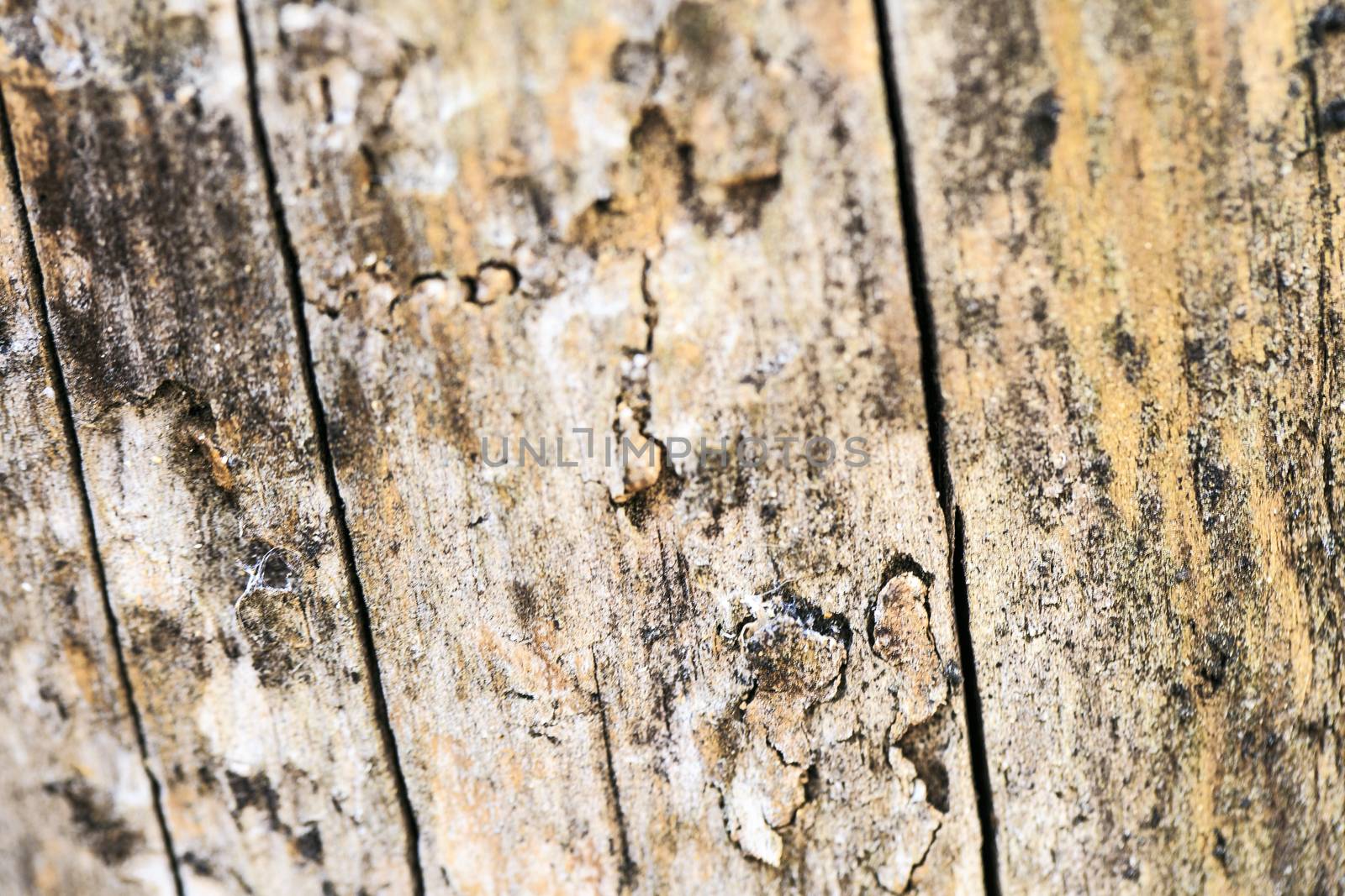 wooden texture background by nachrc2001