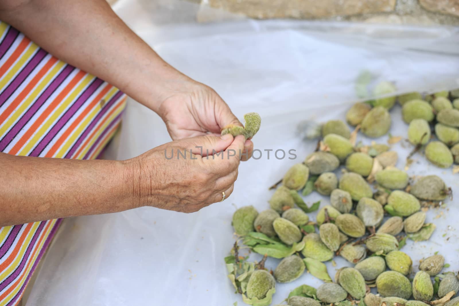 Group of almonds with its skin by nachrc2001