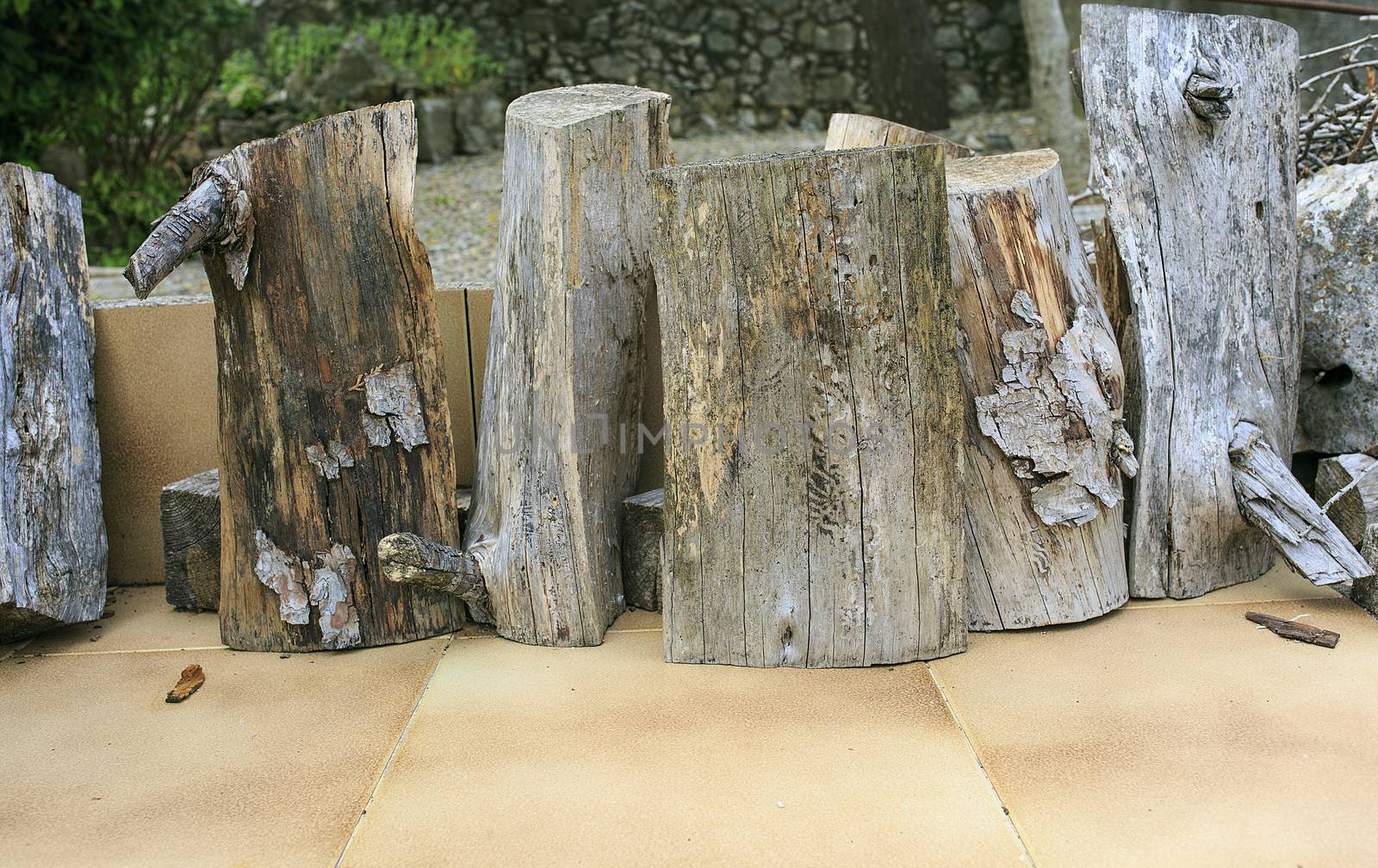 Group of firewood 